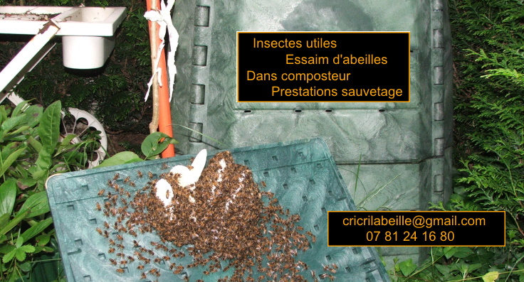 insectes-utiles-essaim-abeilles-dans-composteur-prestations-sauvetage.jpg